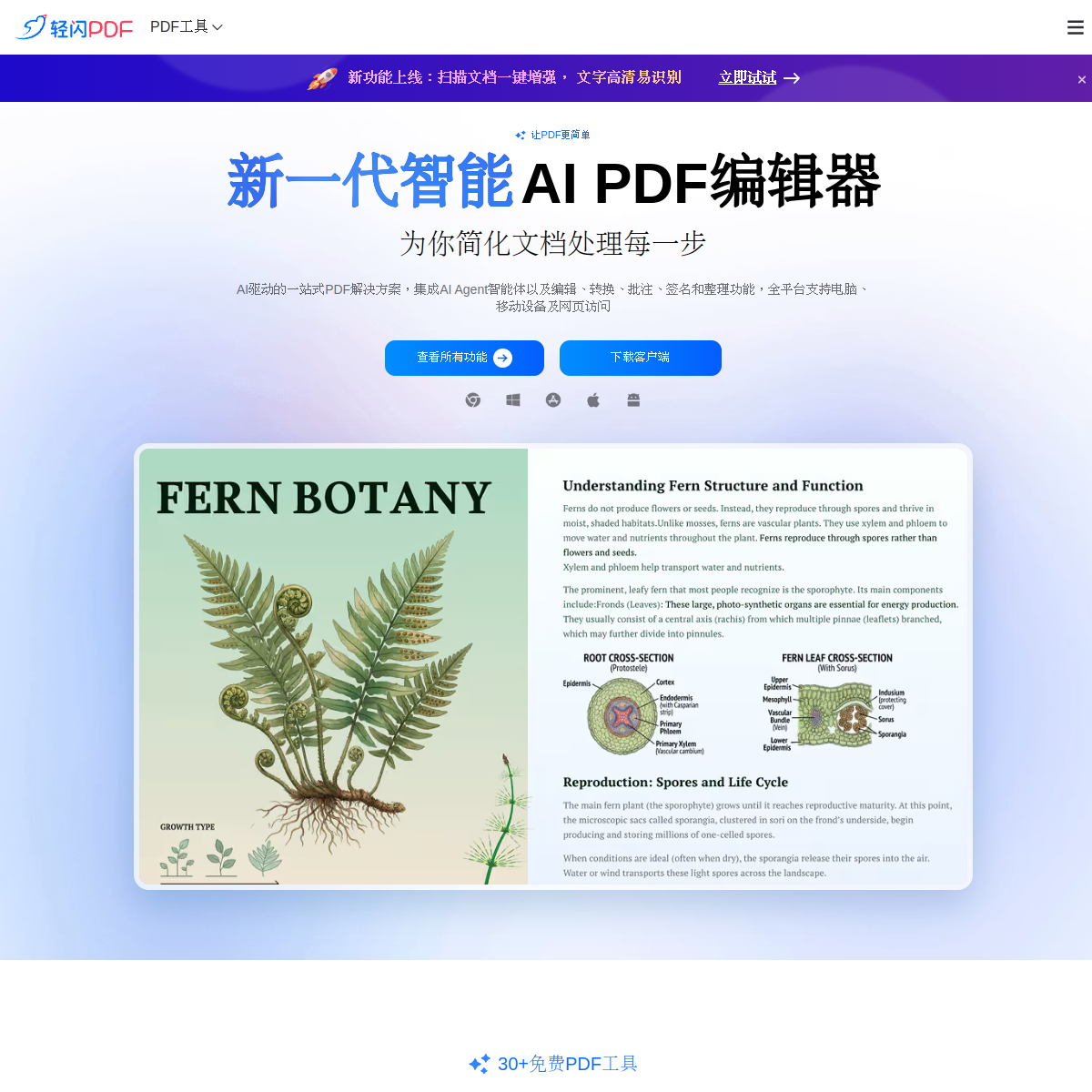 轻闪PDF